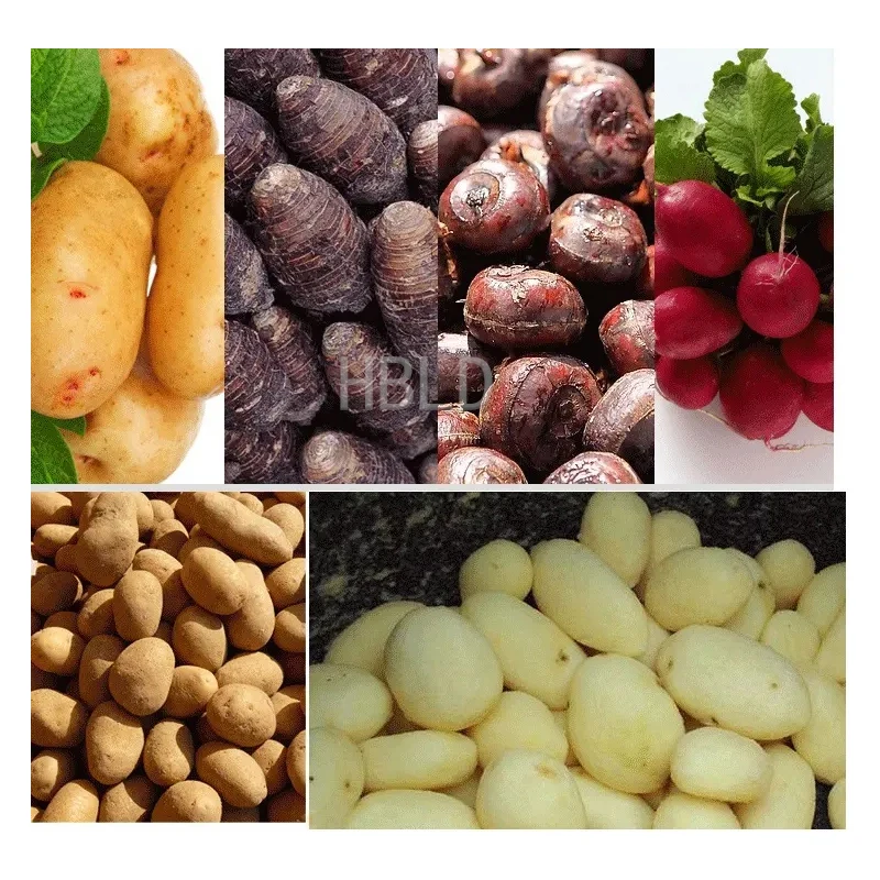 HBLD Commercial Potato Peeler  - огляд і ціна Commercial Potato Peeler